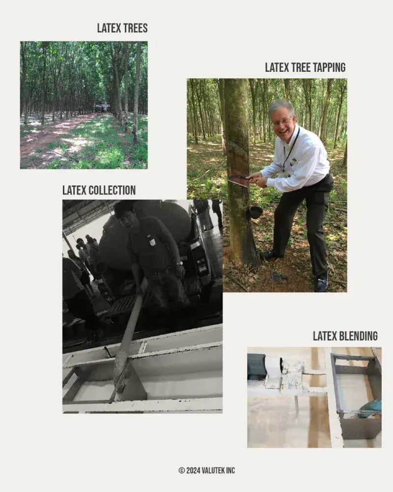 Image Collage: Latex Tree Collections